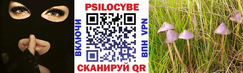 Галлюциногенные грибы MAGIC MUSHROOMS  цена наркотик  Ликино-Дулёво 